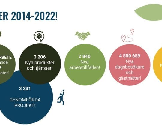 Bild som visar resultat för leader